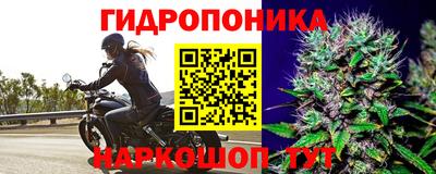 ПСИЛОЦИБИНОВЫЕ ГРИБЫ Малоярославец